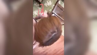 巨乳反差女神崽醬 月兒 抖奶口交後入-10