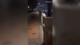 顏值嫩妹【採花小盜(caihuaxiaothief)】淫蕩小母狗02